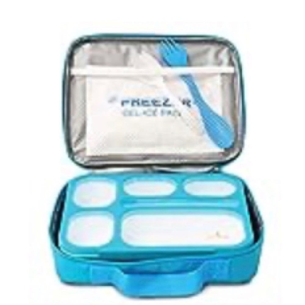 East World Bento Box Meal Prep and Food Storage Containers - Leak proof.